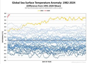 Globale Meeresoberflächentemperatur seit 1982